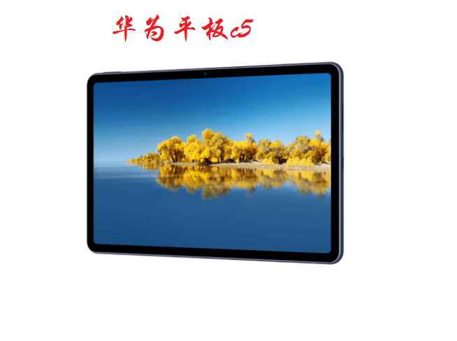 華為平板C5 10.4寸BZT4-W19(4GB+128GB)耀石灰